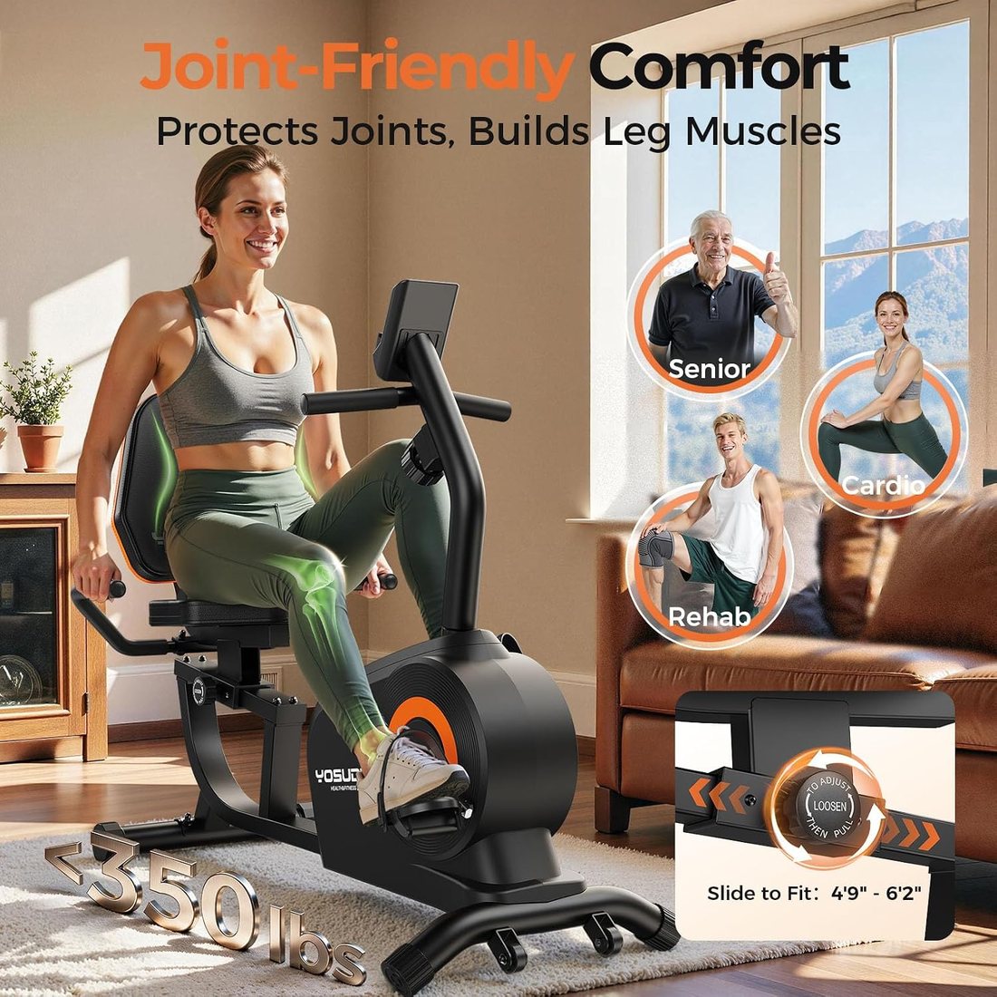 Recumbent Bike with App and Footstraps view 4
